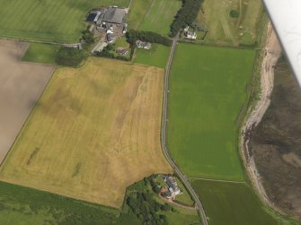 Oblique aerial view of the cropmarks of the rig, taken from the W.