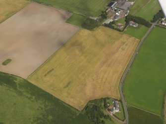 Oblique aerial view of the cropmarks of the rig, taken from the WSW.