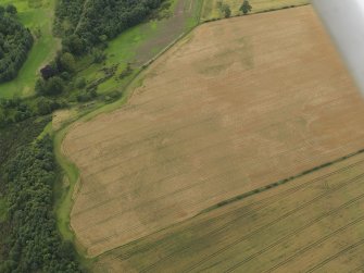 Oblique aerial view of the cropmarks of the palisaded enclosure and round house at Windy Mains, taken from the ENE.
