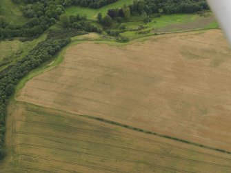 Oblique aerial view of the cropmarks of the palisaded enclosure and round house at Windy Mains, taken from the NE.
