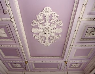 Interior. Detail of drawing room ceiling
