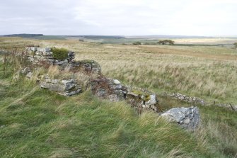 View of north-east outbuildings at The Corr.