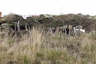 Detail of thatched roof to hen house at The Corr.
