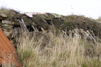 Detail of thatched roof to hen house at The Corr.