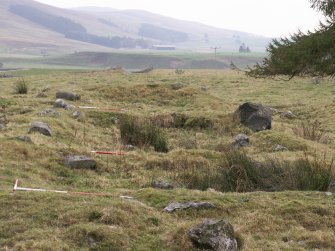 The Drums: view to S, with NE range in foreground