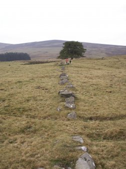 The Drums: dyke S of site