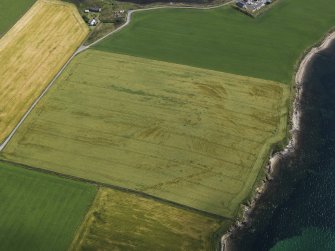 Oblique aerial view centred on the cropmarks of the broch at Bu, taken from the SW.