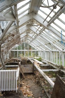 Glasshouse. Interior. View from NE