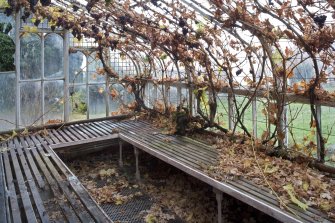 Glasshouse. Interior. S Section. Staging. Detail