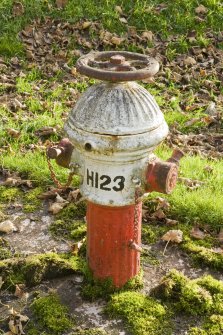 Detail of sample fire hydrant.