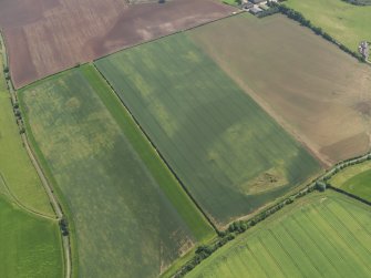 Oblique aerial view of the cropmarks of the settlement and possible field boundary, taken from the WNW.