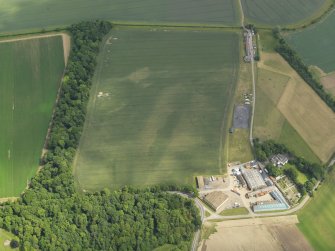 Oblique aerial view of the cropmarks of the settlement and barrows, with the Luffness Mains cottages adjacent, taken from the WSW.