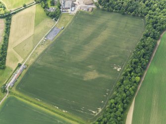 Oblique aerial view of the cropmarks of the settlement and barrows, with the Luffness Mains cottages adjacent, taken from the NE.