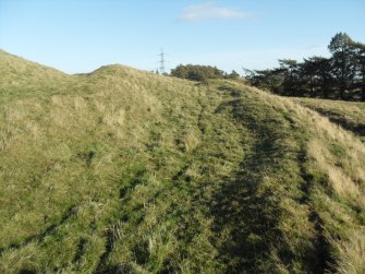 View from W of the row of timber house platforms that are situated between the two sets of ramparts and ditches lying immediately S of the timber-laced fort.