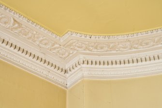 Interior. Ground floor. Dining room. Cornice. Detail