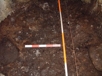 Trench 17 from N, surface of C17.06 (Scales = 2m & 0.5m)