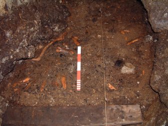 Trench 17 - close view of bone and antler deposit C17.06b, from S (Scale = 0.5m)