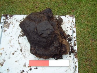 Worked wood (charcoal) F15.104 from Trench 15, context C15.25 (scale = 0.2m)