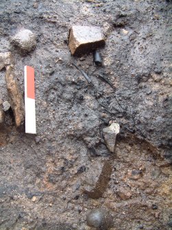 Trench 15 showing close view of organic remains in ash layer C15.32, after rainfall/erosion (scale = 0.2m)