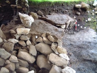 Trench 15 from S showing revetment wall F15.14, feature F15.07b and abutting clay layer C15.34 (scale = 0.5m)
