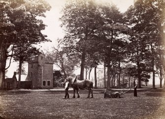 View of Wemyss Castle grounds near the gatehouse with a horse-drawn grass cutter in operation in the foreground. 

