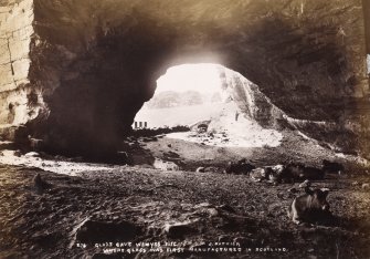 View of Glass Cave, East Wemyss with cows. 
