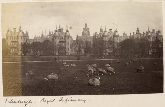 General view from the Meadows with sheep in foreground.
Titled: 'Edinburgh - Royal Infirmary'
