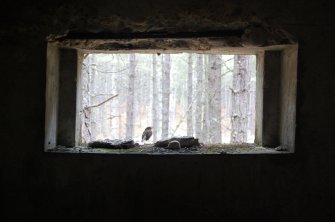 The view out of the opening in a pillbox in Lossie Forest