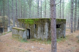 The view of a rectangular pillbox in Lossie Forest