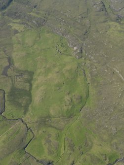 General oblique aerial view of the remains of the township, buildings and field system at Glendrian, taken from the SSE.
