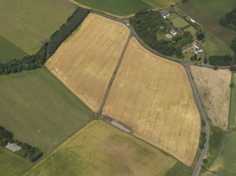 General oblique aerial view of the cropmarks of the rig with Balchrystie House in the background, taken from the SSE.