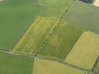 Oblique aerial view of the cropmarks of the round house, taken from the SW.