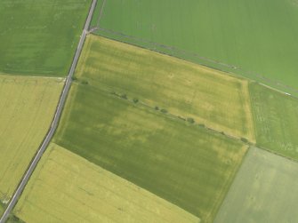 Oblique aerial view of the cropmarks of the round house, taken from the ESE.