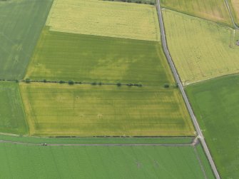 Oblique aerial view of the cropmarks of the round house, taken from the NNW.