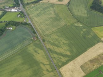 Oblique aerial view of the cropmarks of the unenclosed settlements and pits, taken from the W.