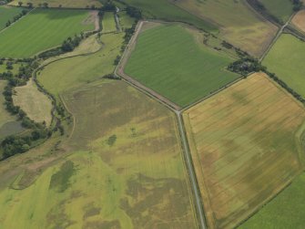 Oblique aerial view of the cropmarks of the unenclosed round houses, pits and rig, taken from the N.