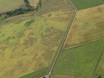 Oblique aerial view of the cropmarks of the barrow, unenclosed round houses, pits and rig, taken from the W.