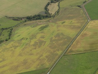 Oblique aerial view of the cropmarks of the barrow, unenclosed round houses, pits and rig, taken from the WSW.