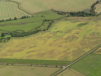 Oblique aerial view of the cropmarks of the barrow, unenclosed round houses, pits and rig, taken from the SW.