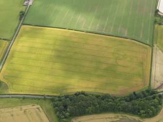 Oblique aerial view of the cropmarks of the settlement, taken from the NW.