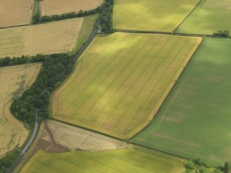 Oblique aerial view of the cropmarks of the settlement, taken from the SW.