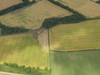 Oblique aerial view of the cropmarks of the settlement, taken from the SSE.