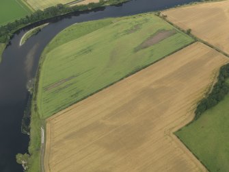 General oblique aerial view of the cropmarks of the enclosures, taken from the S.