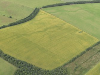 Oblique aerial view of the cropmarks of the rectilinear settlement and the pit alignment, taken from the SE.