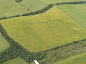 Oblique aerial view of the cropmarks of the rectilinear settlement and the pit alignment, taken from the ESE.