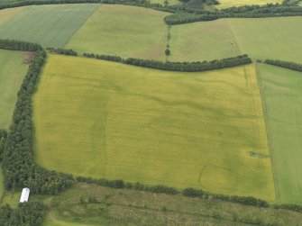 Oblique aerial view of the cropmarks of the rectilinear settlement and the pit alignment, taken from the E.