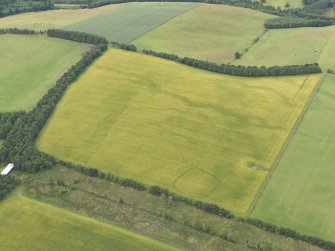 Oblique aerial view of the cropmarks of the rectilinear settlement and the pit alignment, taken from the ENE.