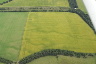 Oblique aerial view of the cropmarks of the rectilinear settlement and the pit alignment, taken from the W.