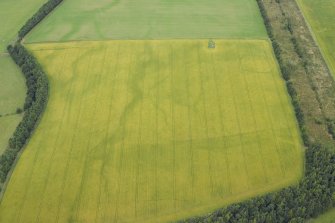 Oblique aerial view of the cropmarks of the rectilinear settlement and the pit alignment, taken from the S.