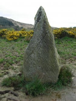 Detail view of NE face of standing stone, taken from NE.